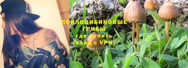ALPHA PVP Армянск