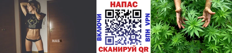 Шишки марихуана марихуана Билибино